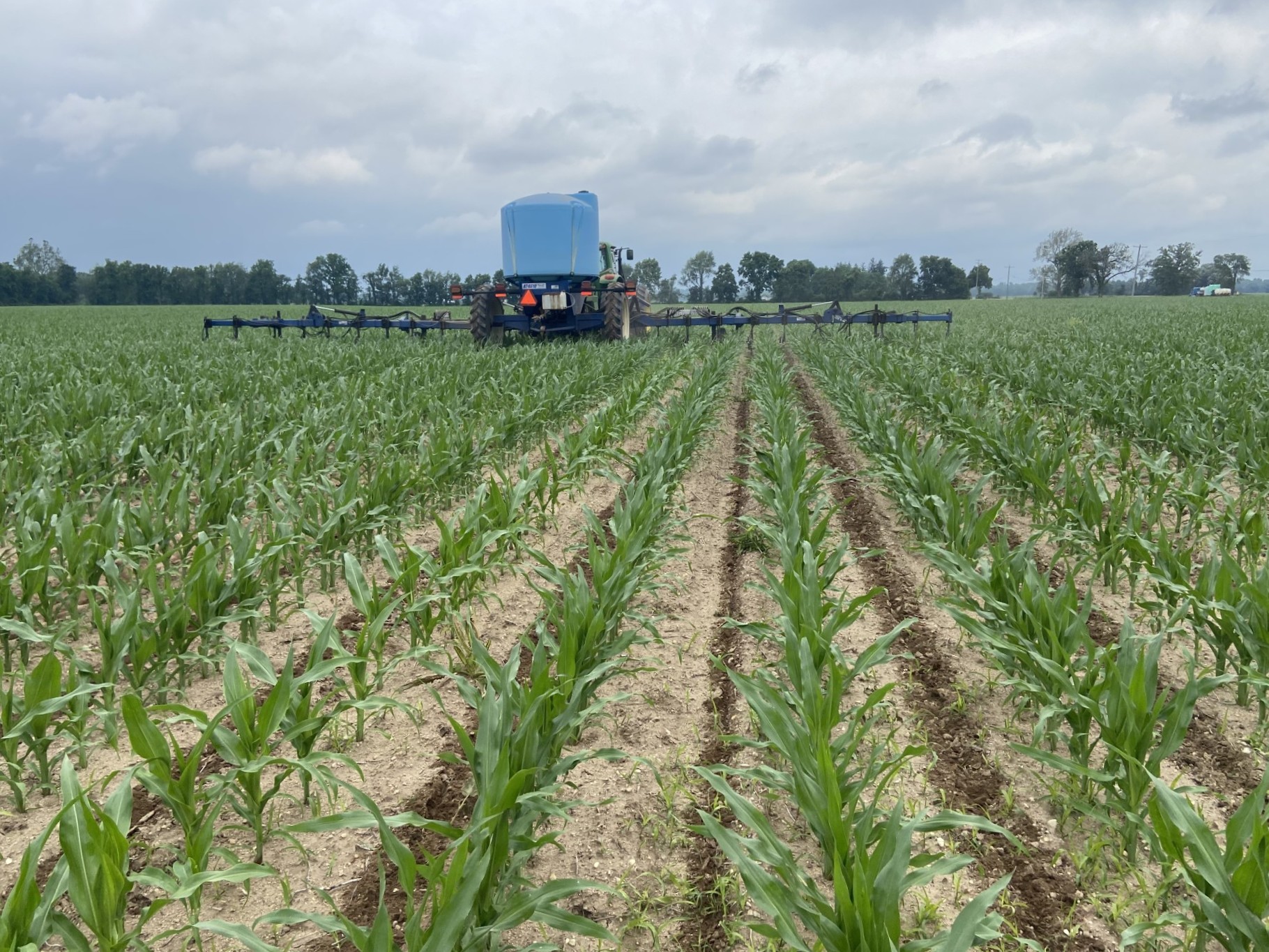 A tractor with an implement driving over a corn field.